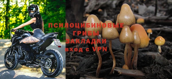 ГАЛЛЮЦИНОГЕННЫЕ ГРИБЫ Краснослободск