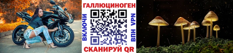 Купить закладки  Киров  Галлюциногенные грибы прущие грибы 